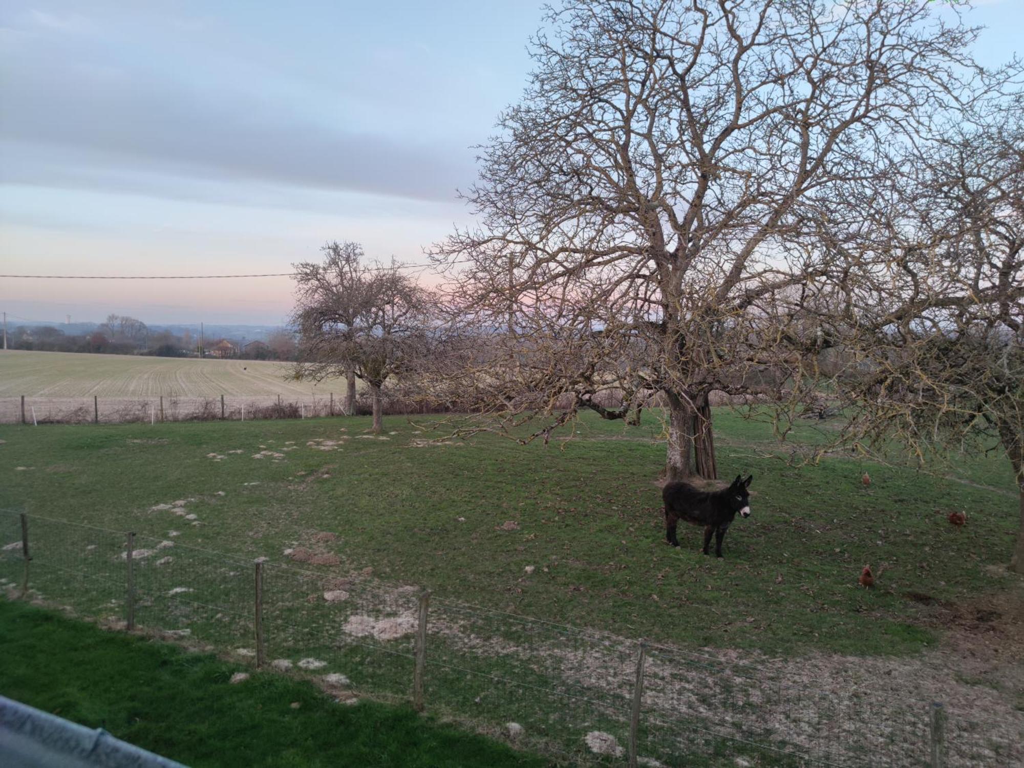 Chambre D Hote Beaumont Pied De Boeuf Exterior foto